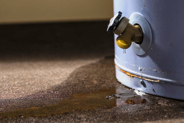 Best Basement water damage restoration  in North Plymouth, MA