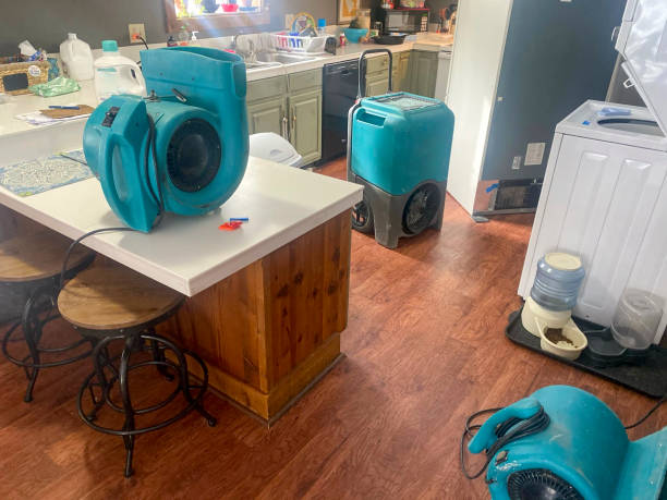 Best Water damage cleanup near me  in North Plymouth, MA