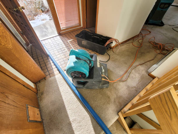 Best Flood restoration services  in North Plymouth, MA