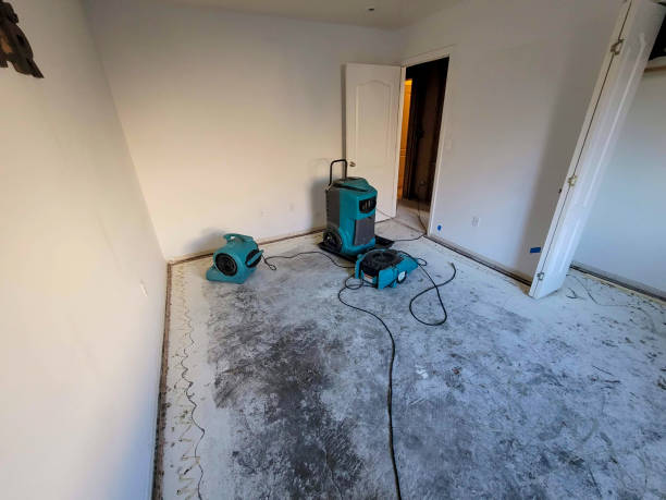 Best Carpet water damage restoration  in North Plymouth, MA