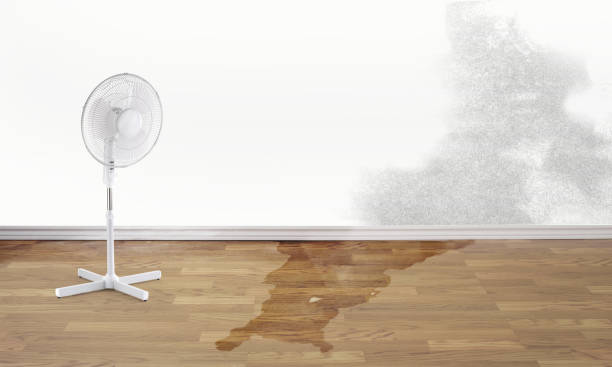 Local water damage restoration in MA