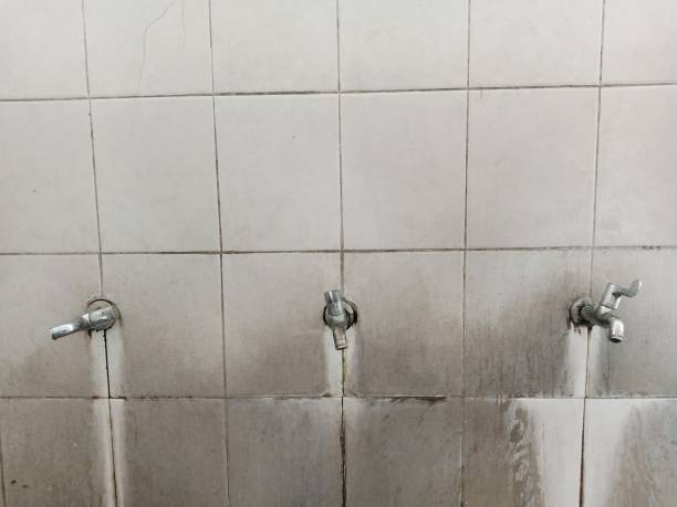 Best Residential water damage restoration  in North Plymouth, MA