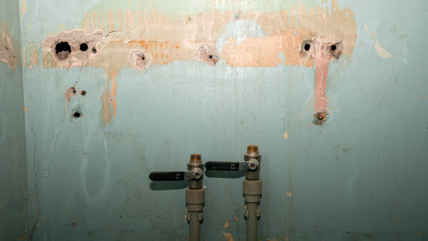 Best Flood damage cleanup  in North Plymouth, MA