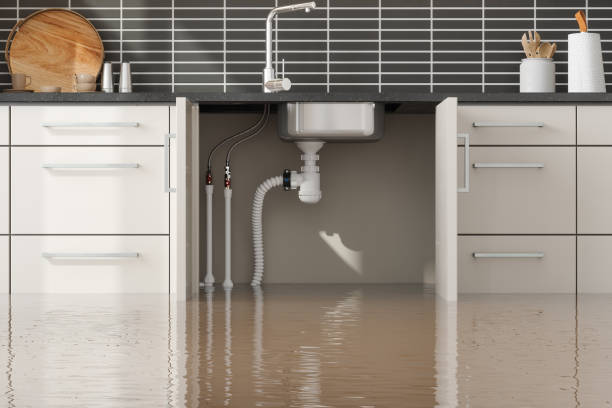 Best Sewage cleanup and water damage restoration  in North Plymouth, MA