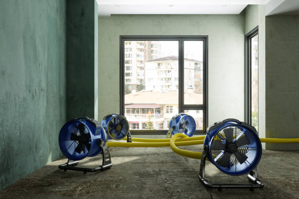 Best 24-hour water damage restoration  in North Plymouth, MA
